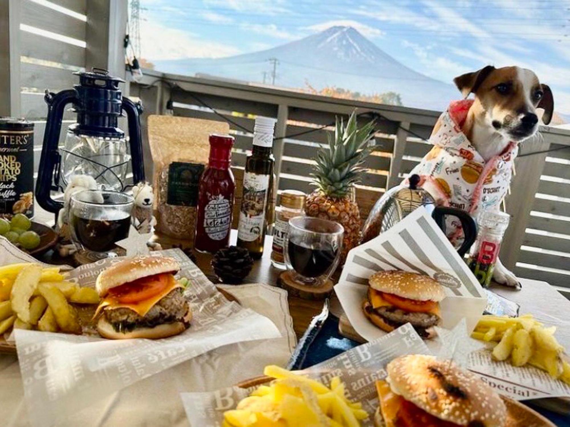 富士河口湖 Necoana Glamping酒店 外观 照片